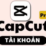 Có nên mua tài khoản Capcut giá rẻ không?
