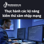 Thực hành các kỹ năng kiểm thử xâm nhập mạng